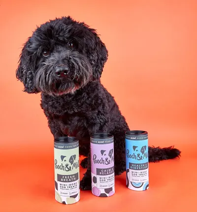 Secondary Images for Pooch and Mutt 74