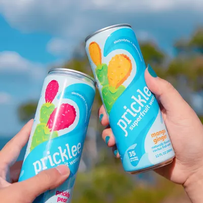 Lifestyle Images for Pricklee 12