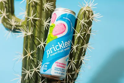 Secondary Images for Pricklee 14