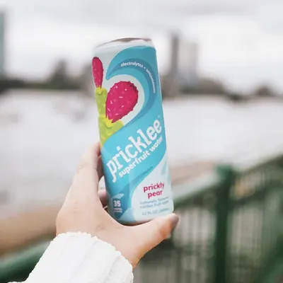 Lifestyle Images for Pricklee 24