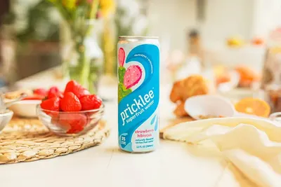 Lifestyle Images for Pricklee 34