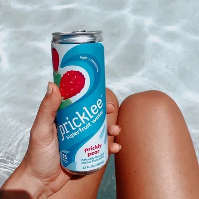Lifestyle Images for Pricklee 3