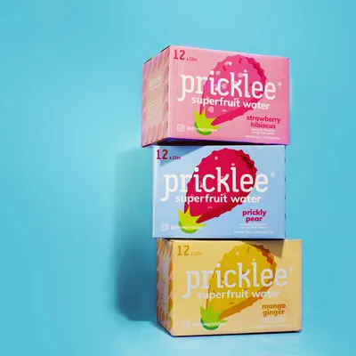 Secondary Images for Pricklee 41