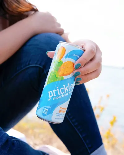 Lifestyle Images for Pricklee 46