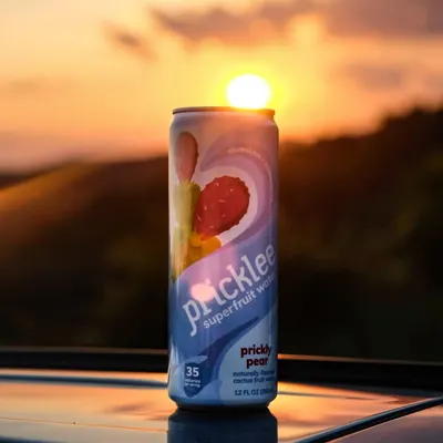 Lifestyle Images for Pricklee 48