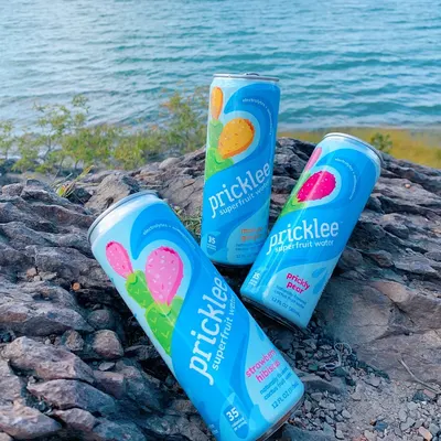 Lifestyle Images for Pricklee 7