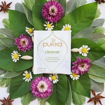 Lifestyle Images for Pukka Herbs 39