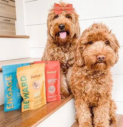 Lifestyle Images for Pupford 11