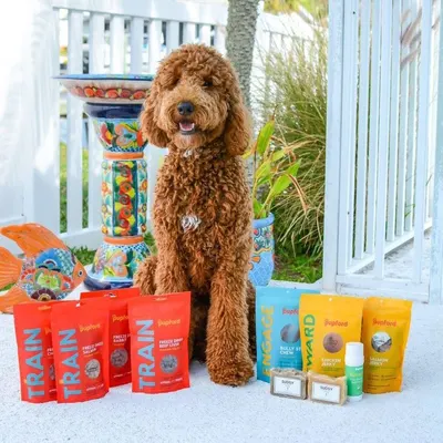 Lifestyle Images for Pupford 7