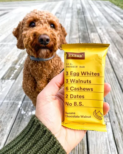 Lifestyle Images for RXBAR 24