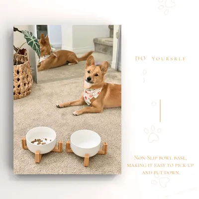 Secondary Images for SPUNKYJUNKY INF PET 1