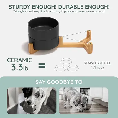 Secondary Images for SPUNKYJUNKY INF PET 2