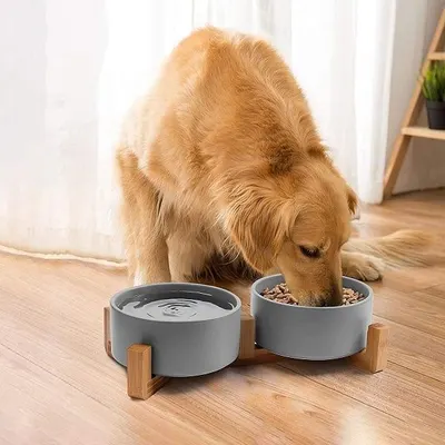 Lifestyle Images for SPUNKYJUNKY LIF PET 3