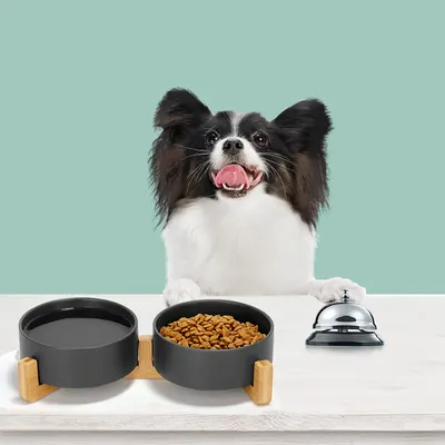 Lifestyle Images for SPUNKYJUNKY LIF PET 4