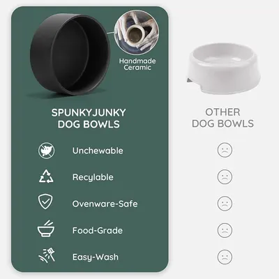 Comparison Chart Images for SPUNKYJUNKY PC PET 1