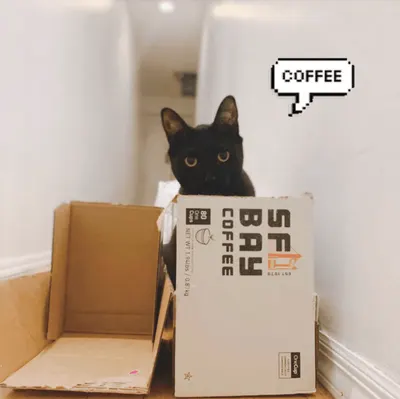 Secondary Images for San Francisco Bay Coffee 47