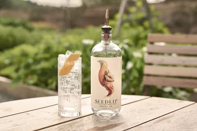Lifestyle Images for Seedlip Drinks 17