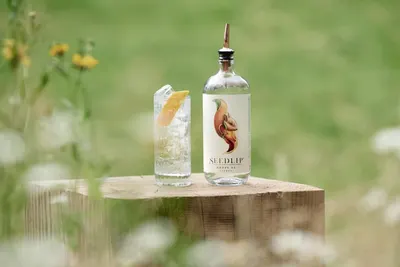 Lifestyle Images for Seedlip Drinks 18
