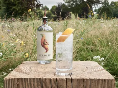 Lifestyle Images for Seedlip Drinks 4