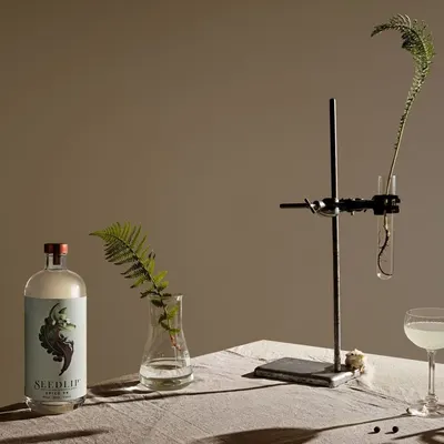 Lifestyle Images for Seedlip Drinks 6