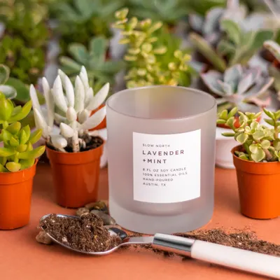 Lifestyle Images for Slow North 12
