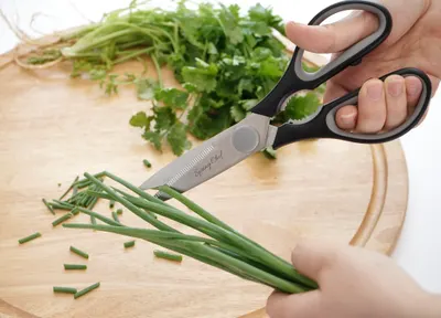 Lifestyle Images for Spring Chef 8