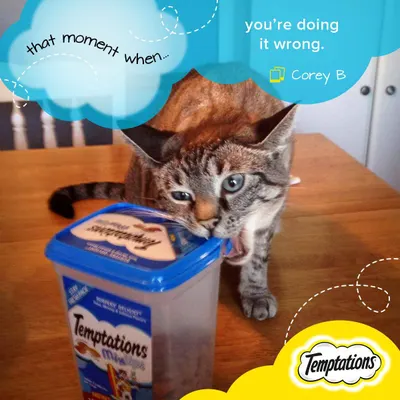 Secondary Images for Temptations Cat Treats 13