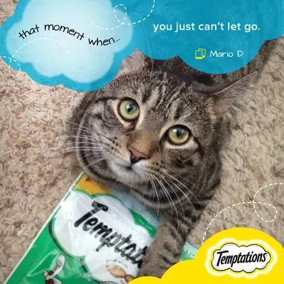 Secondary Images for Temptations Cat Treats 15