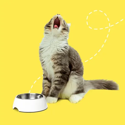 Secondary Images for Temptations Cat Treats 2
