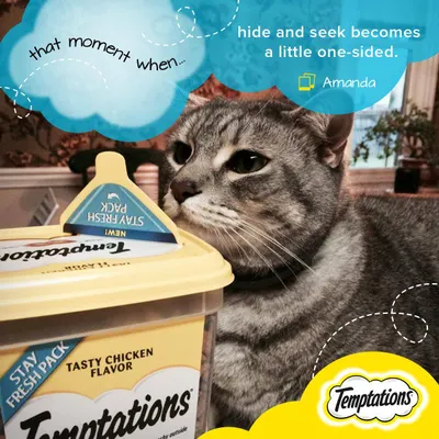 Secondary Images for Temptations Cat Treats 9
