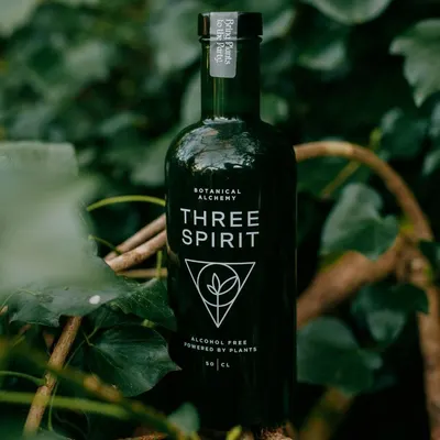 Lifestyle Images for Three Spirit 24