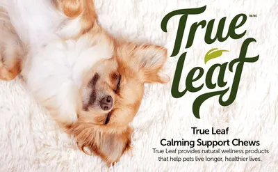 Secondary Images for True Leaf PET INF PET 3