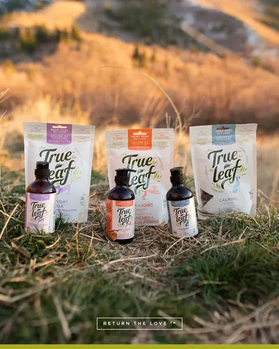 Lifestyle Images for True Leaf PET LIF PET 5