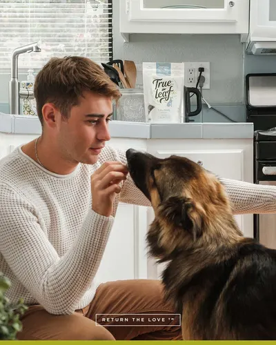 Lifestyle Images for True Leaf PET LIF PET 6