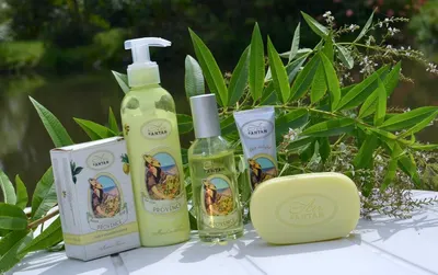 Lifestyle Images for Un Air d'Antan 24