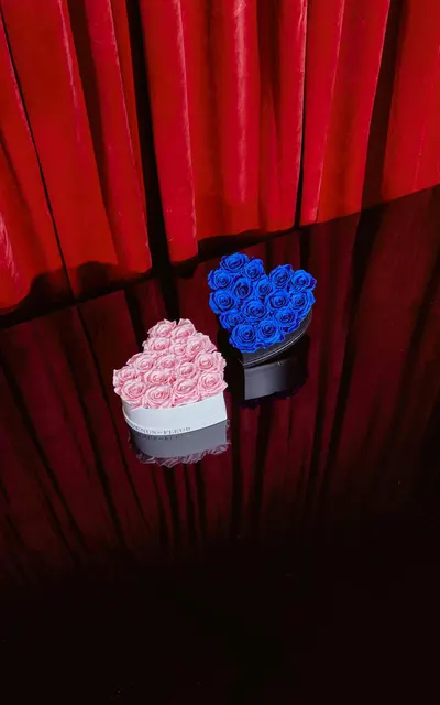 Secondary Images for VENUS ET FLEUR 06