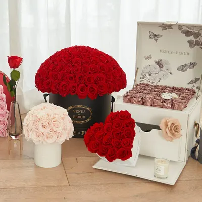 Lifestyle Images for VENUS ET FLEUR 09