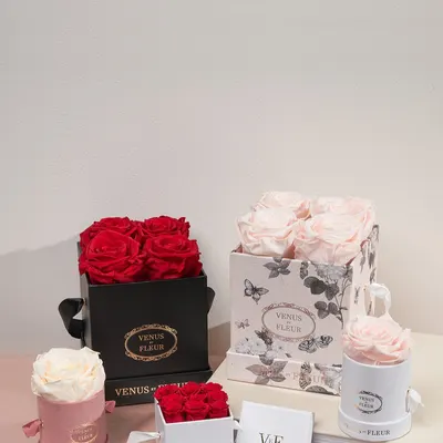 Lifestyle Images for VENUS ET FLEUR 10