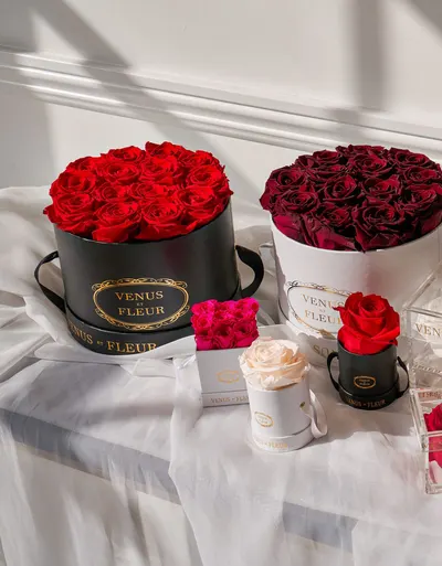 Lifestyle Images for VENUS ET FLEUR 11
