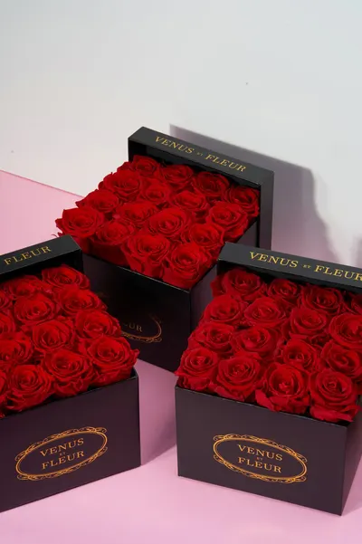 Secondary Images for VENUS ET FLEUR 12