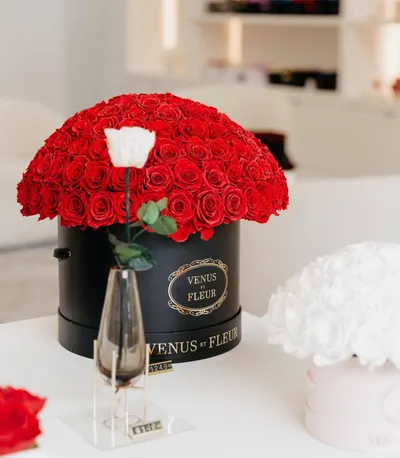 Lifestyle Images for VENUS ET FLEUR 13