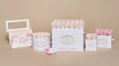 Amazon listing image for VENUS ET FLEUR 14