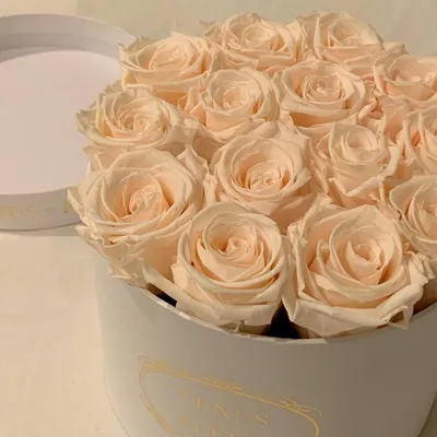 Lifestyle Images for VENUS ET FLEUR 15