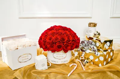 Amazon listing image for VENUS ET FLEUR 17