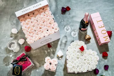 Lifestyle Images for VENUS ET FLEUR 18