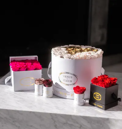 Lifestyle Images for VENUS ET FLEUR 19