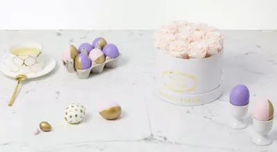 Amazon listing image for VENUS ET FLEUR 21