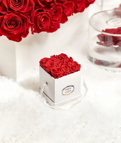 Lifestyle Images for VENUS ET FLEUR 22