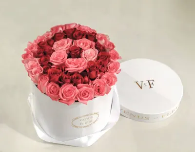 Lifestyle Images for VENUS ET FLEUR 23