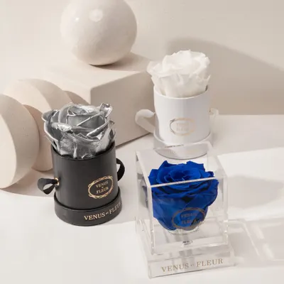 Lifestyle Images for VENUS ET FLEUR 24